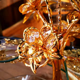 Glass Design Plates