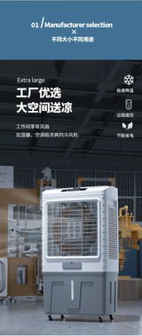 220V Remote Control Fan