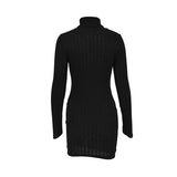Women's Turtleneck Bodycon Mini Dress