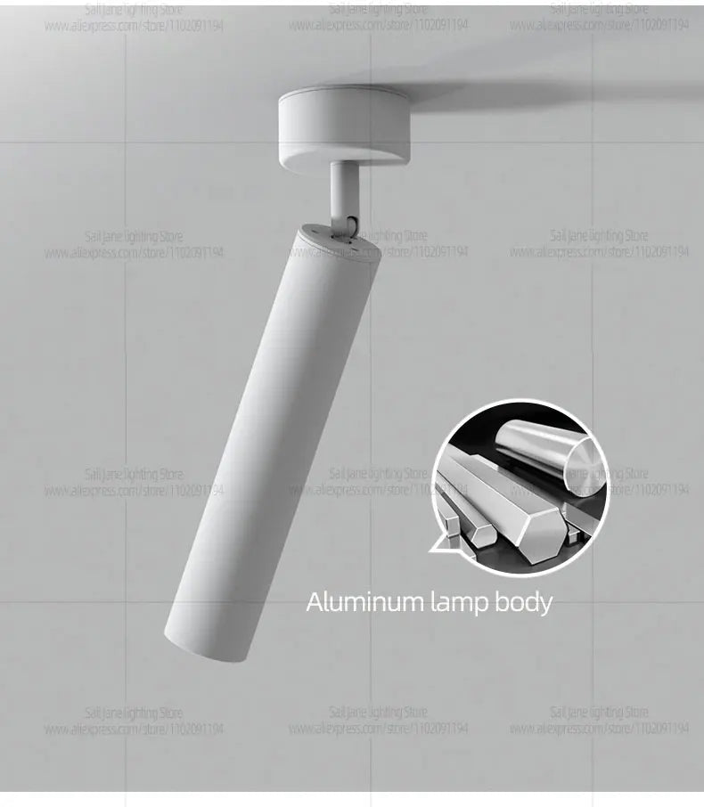 LED Spotlight Ceiling Light