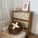 Velvet Decorative Sofa Pillow