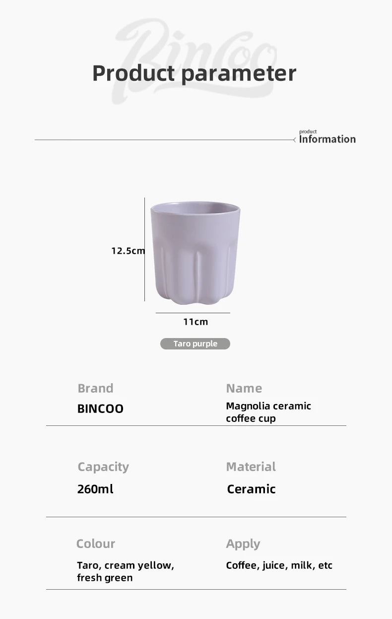 Bincoo Ceramic Coffee Mug Set (260ml)