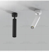 LED Spotlight Ceiling Light