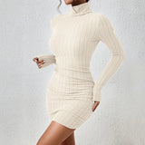 Women's Turtleneck Bodycon Mini Dress