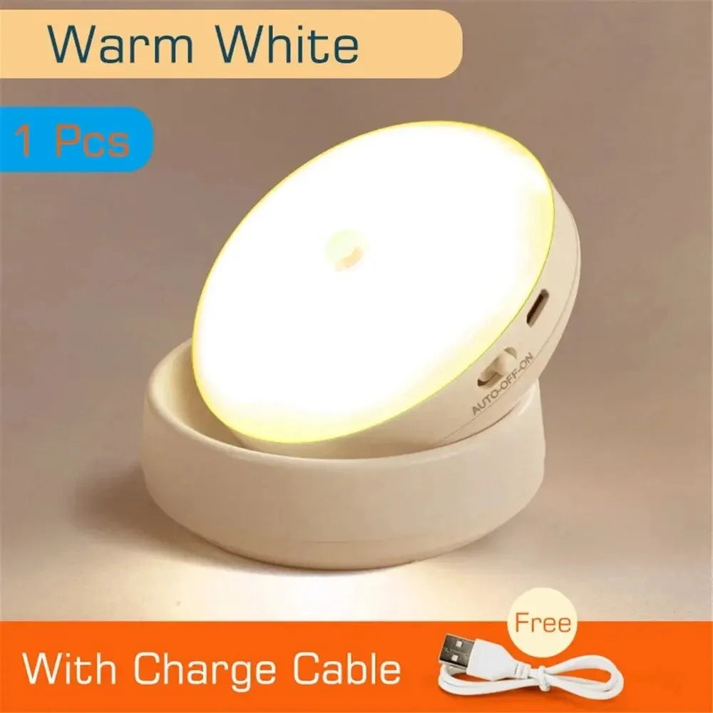 USB Rechargeable LED Night Motion Sensor Light