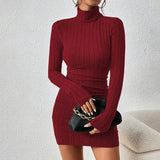 Women's Turtleneck Bodycon Mini Dress