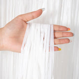 Foil Tinsel Fringe Curtain Backdrop
