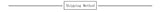Text graphic displaying 'Shipping Method' with decorative lines on either side.