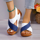 Women  Plush High Top Snow Boots