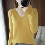 Women Slim Fit V-Neck Sweater