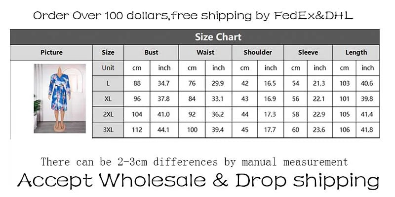 Women V-Neck Chiffon Print Dress