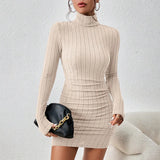 Women's Turtleneck Bodycon Mini Dress