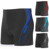 Men's Plus Size Printed Swim Trunks