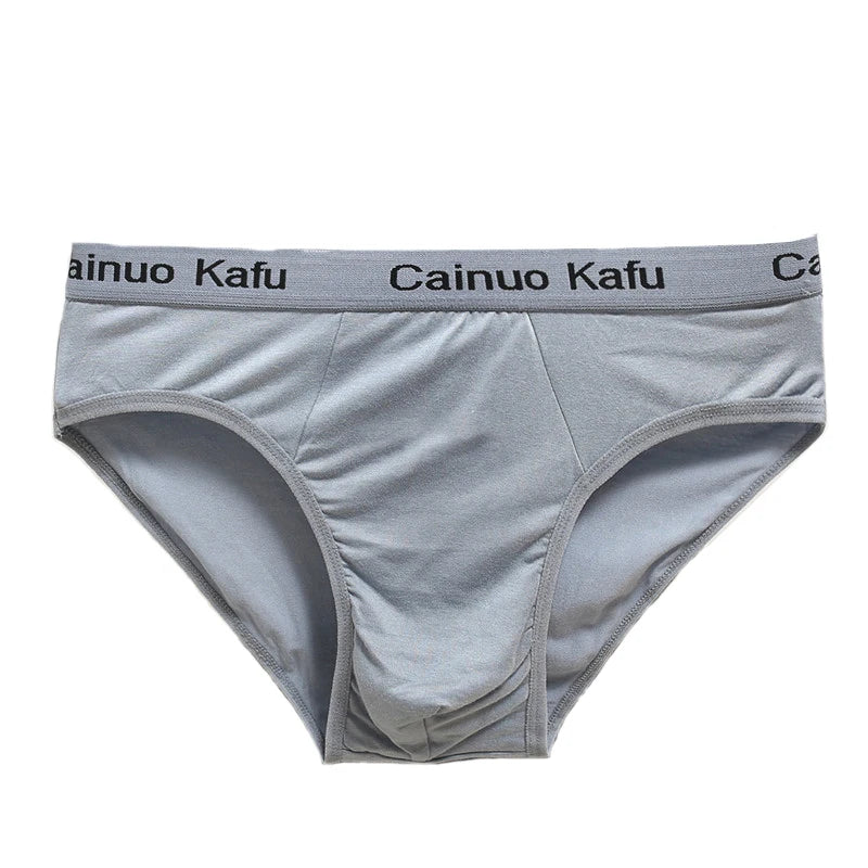 Men 3-Pack Silk Briefs Underwear