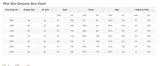 Plus size dress size chart showing measurements for bust, waist, hips, and hollow to floor in inches and cm.