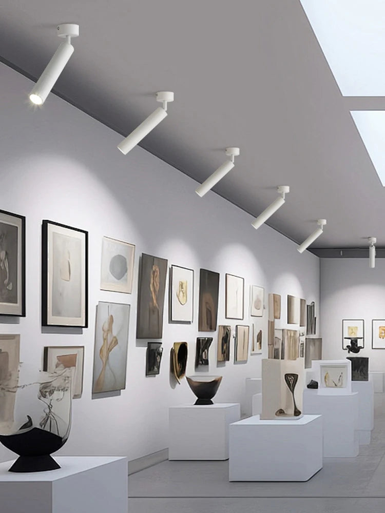 LED Spotlight Ceiling Light