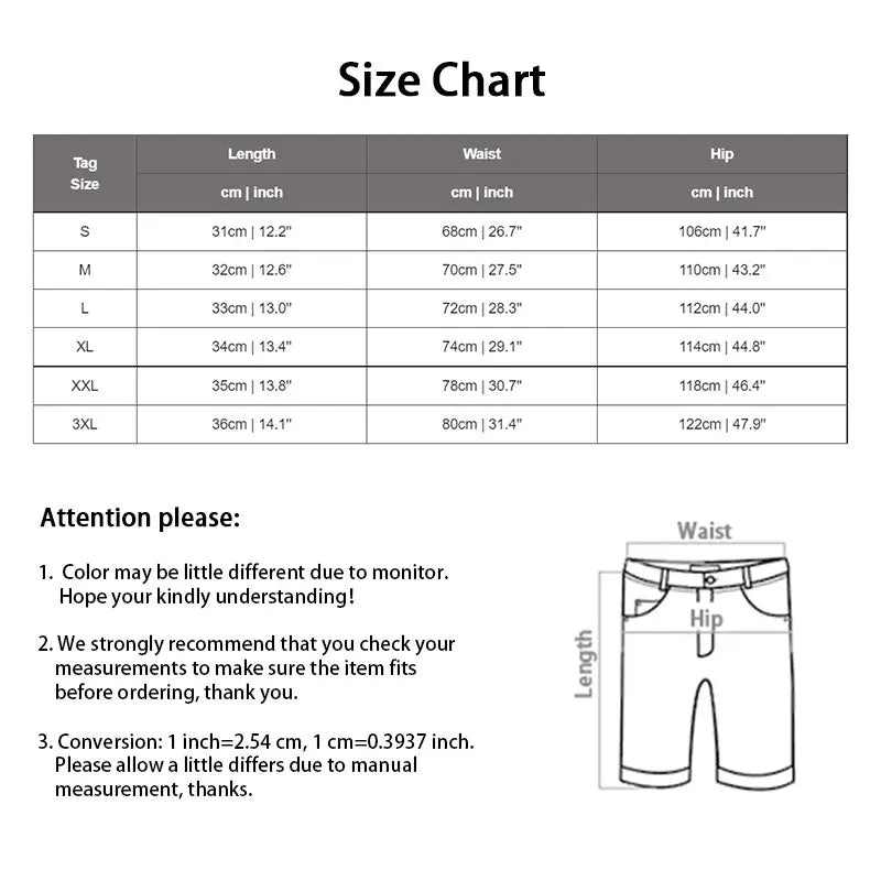 Men Summer Swim Shorts