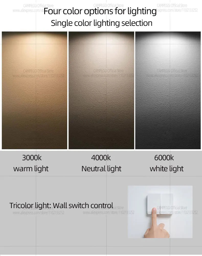 Modern LED Chandelier Pendant Lamp