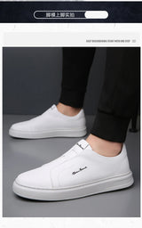 Men’s 2025 Summer Casual Leather Loafers