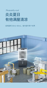 220V Remote Control Fan