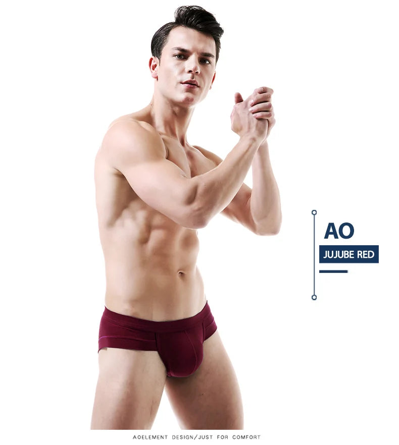 Men's Modal Briefs – Low Waist Sport Pocket