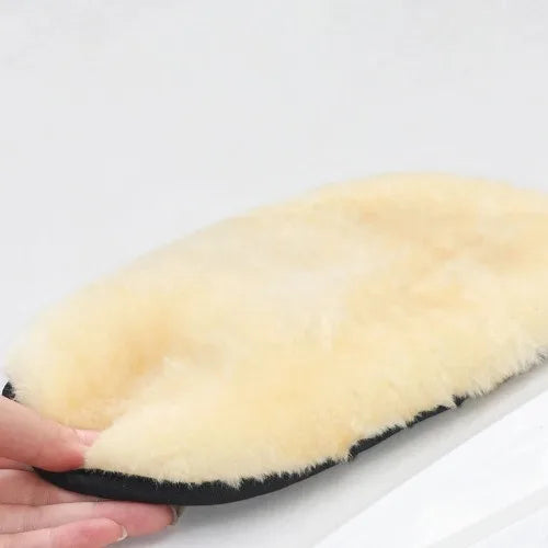Car Cleaning Supplies