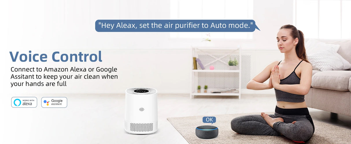 Indoor Air Quality Purifier Monitor