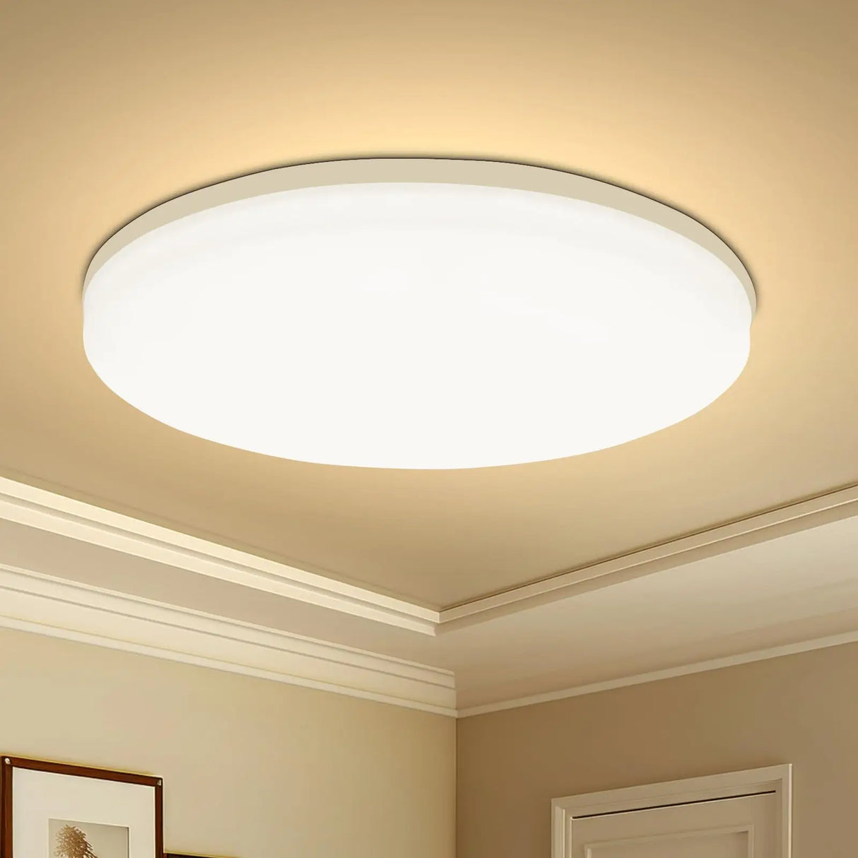 Round LED Ceiling Light Fixture