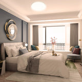 Round LED Ceiling Light Fixture