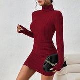 Women's Turtleneck Bodycon Mini Dress