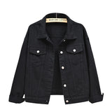 Pure Color Women's Denim Jacket