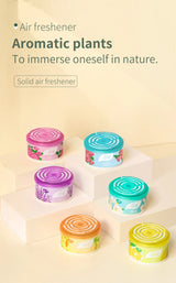 Lavender Freshener Pack