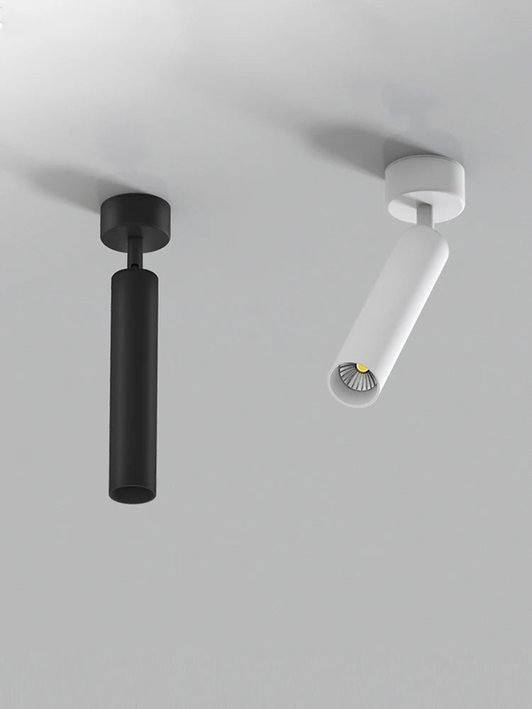 LED Spotlight Ceiling Light