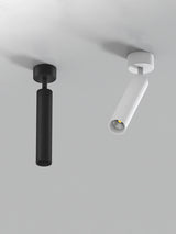 LED Spotlight Ceiling Light