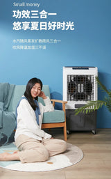 220V Remote Control Fan