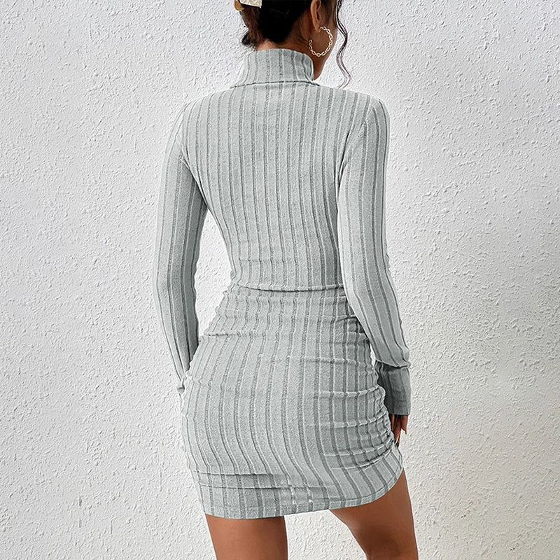 Women's Turtleneck Bodycon Mini Dress