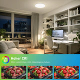 Round LED Ceiling Light Fixture