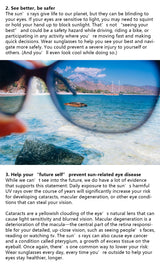 Millionaire Square Sunglasses