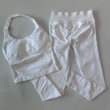 SculptFit Seamless Gym Set