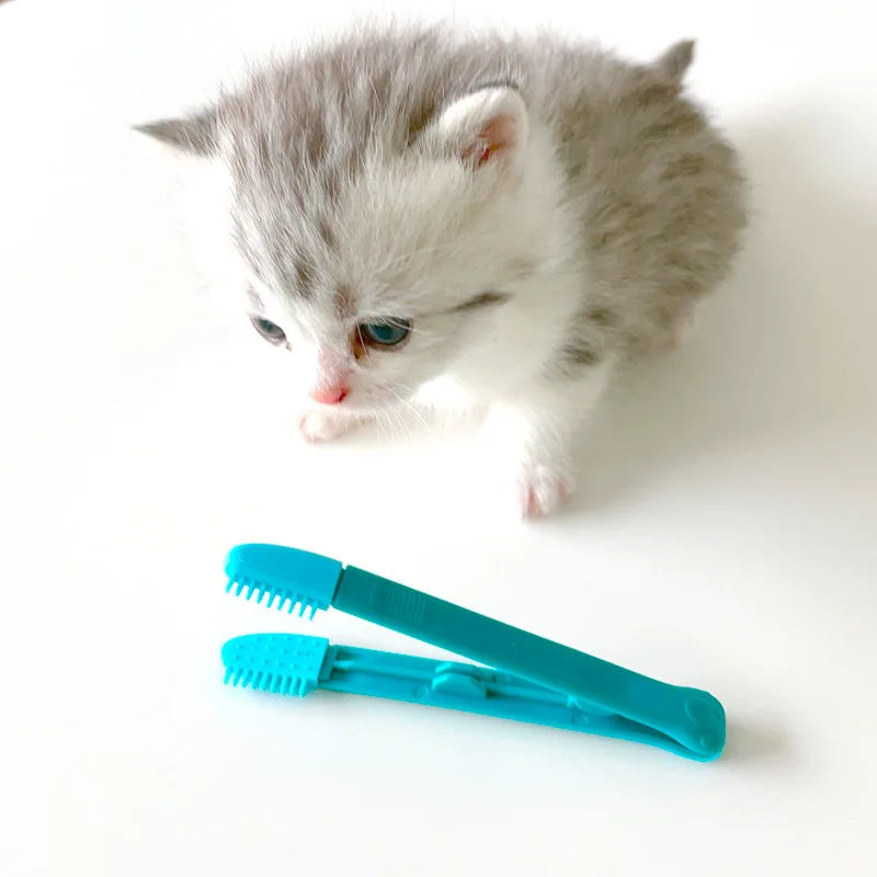 Pet Eye Cleaning Brush