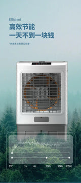220V Remote Control Fan