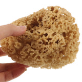 Bath Back Sponge Scrubber
