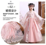 Modern Fairy Hanfu dress for girls featuring breathable fabric, floral embroidery, and a cute design, perfect for cosplay.