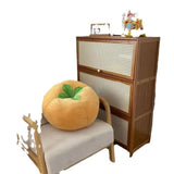 Velvet Decorative Sofa Pillow