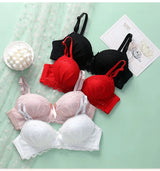 Women Lace Push Up Lingerie Set