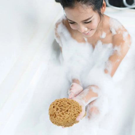 Bath Back Sponge Scrubber | by Anwer Fancy | Worldwide Shipping