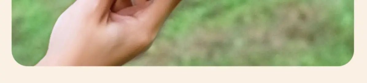 Camping Cookware Combination Set | by Anwer Fancy | Worldwide Shipping