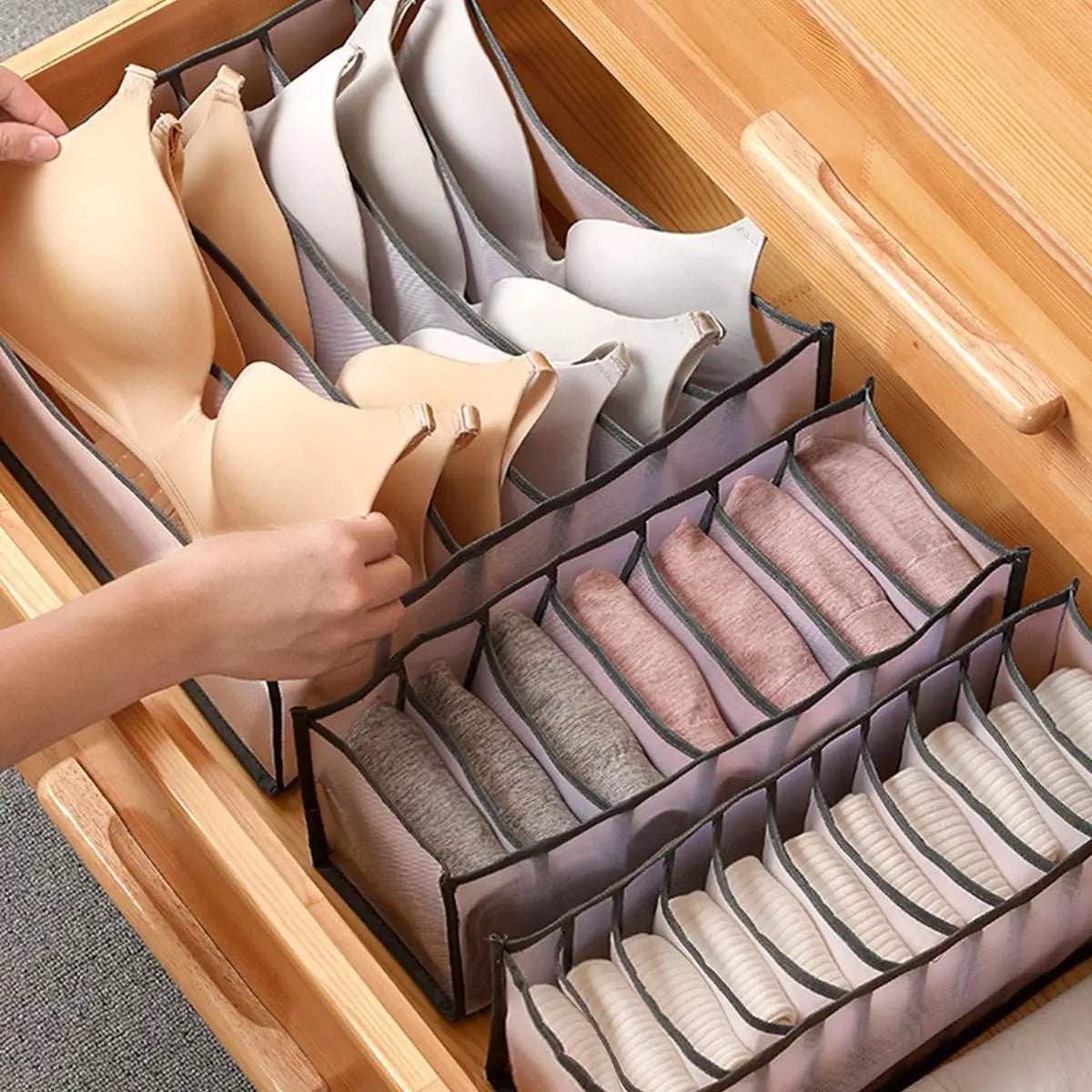 Closet Organizer Storage Box | by Anwer Fancy | Worldwide Shipping