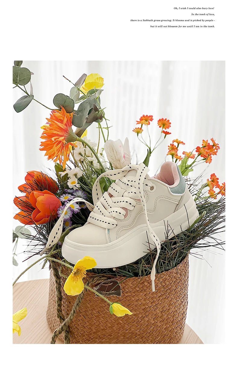 Men’s 2025 Retro Street Skate Shoes | by Anwer Fancy | Worldwide Shipping