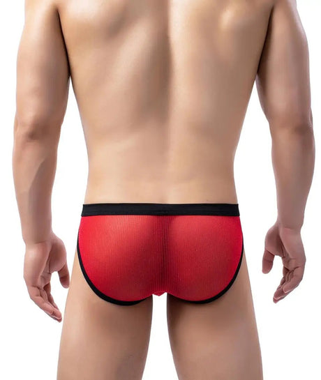 Men’s Mesh See - Through Briefs | by Anwer Fancy | Worldwide Shipping